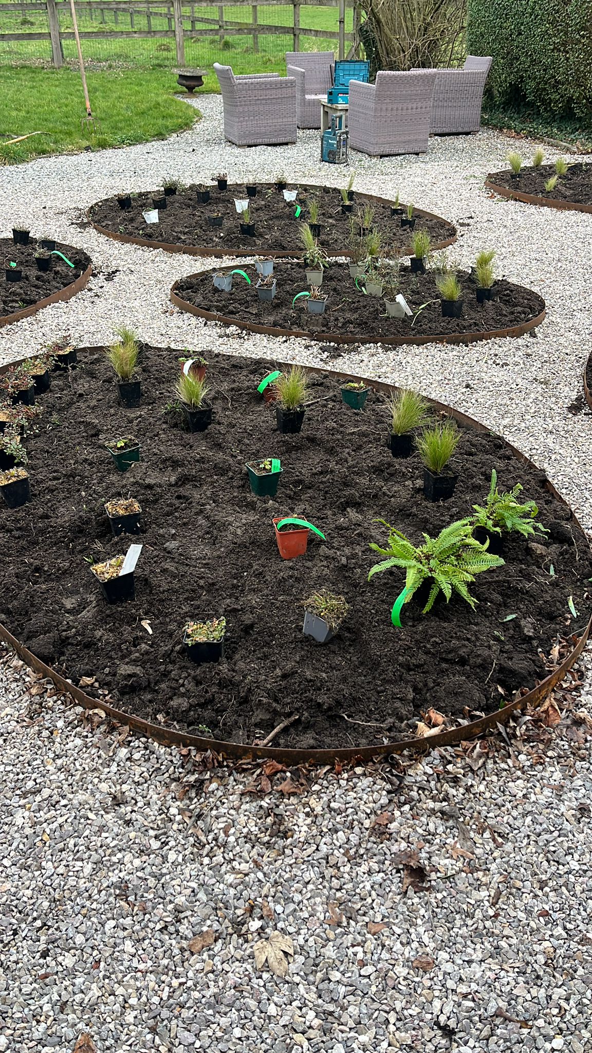 Proces BEPLANTINGEN