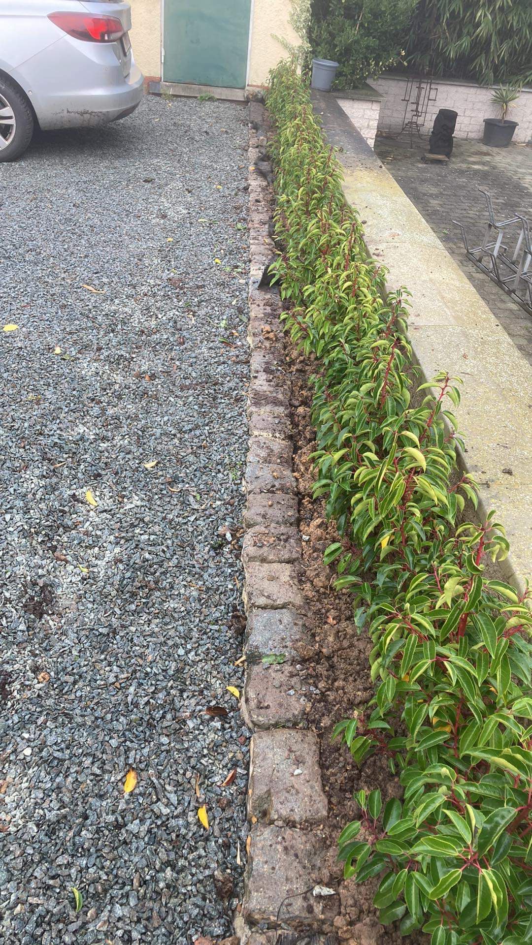 Beplantingen