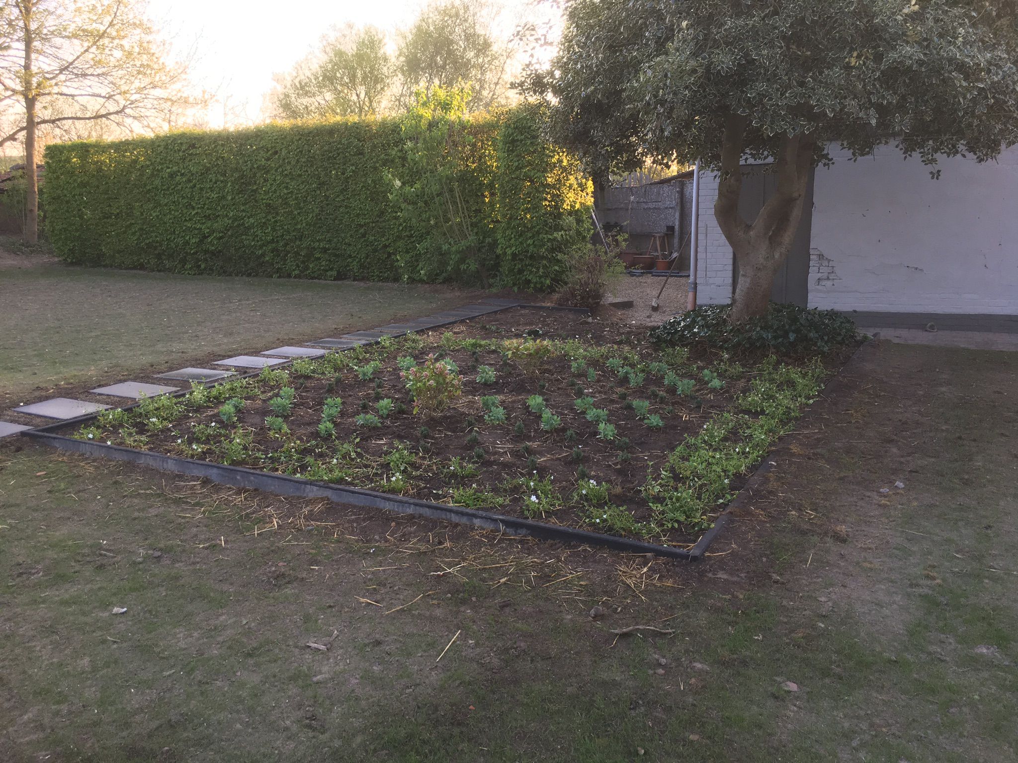 Project Tuinen Thijs 3