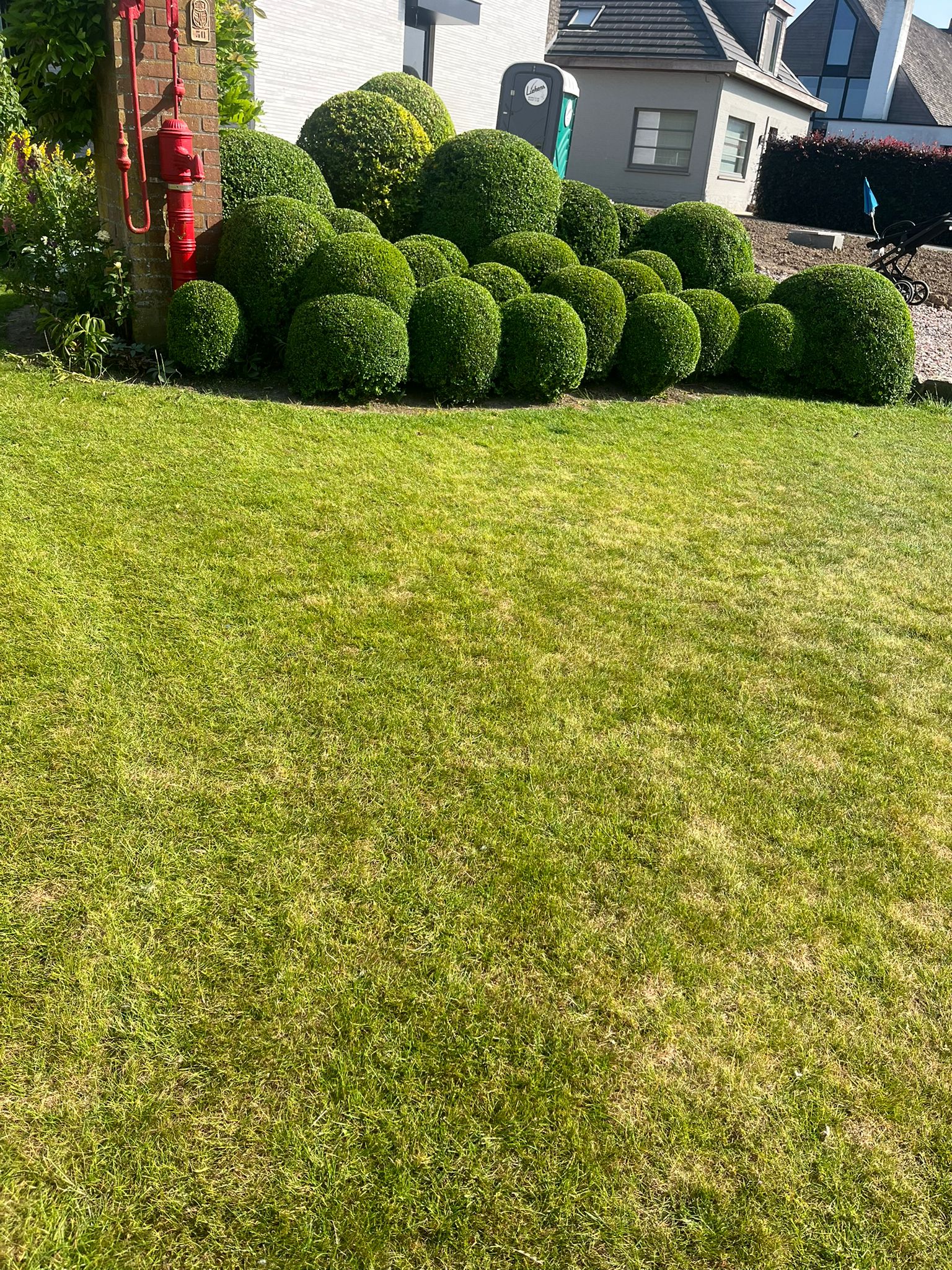 Project Tuinen Thijs 5