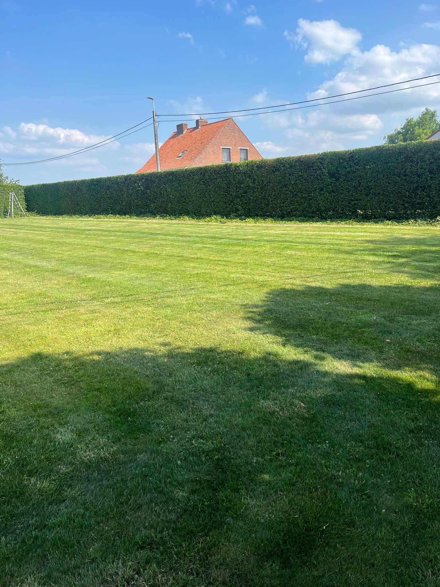 Project Tuinen Thijs 6