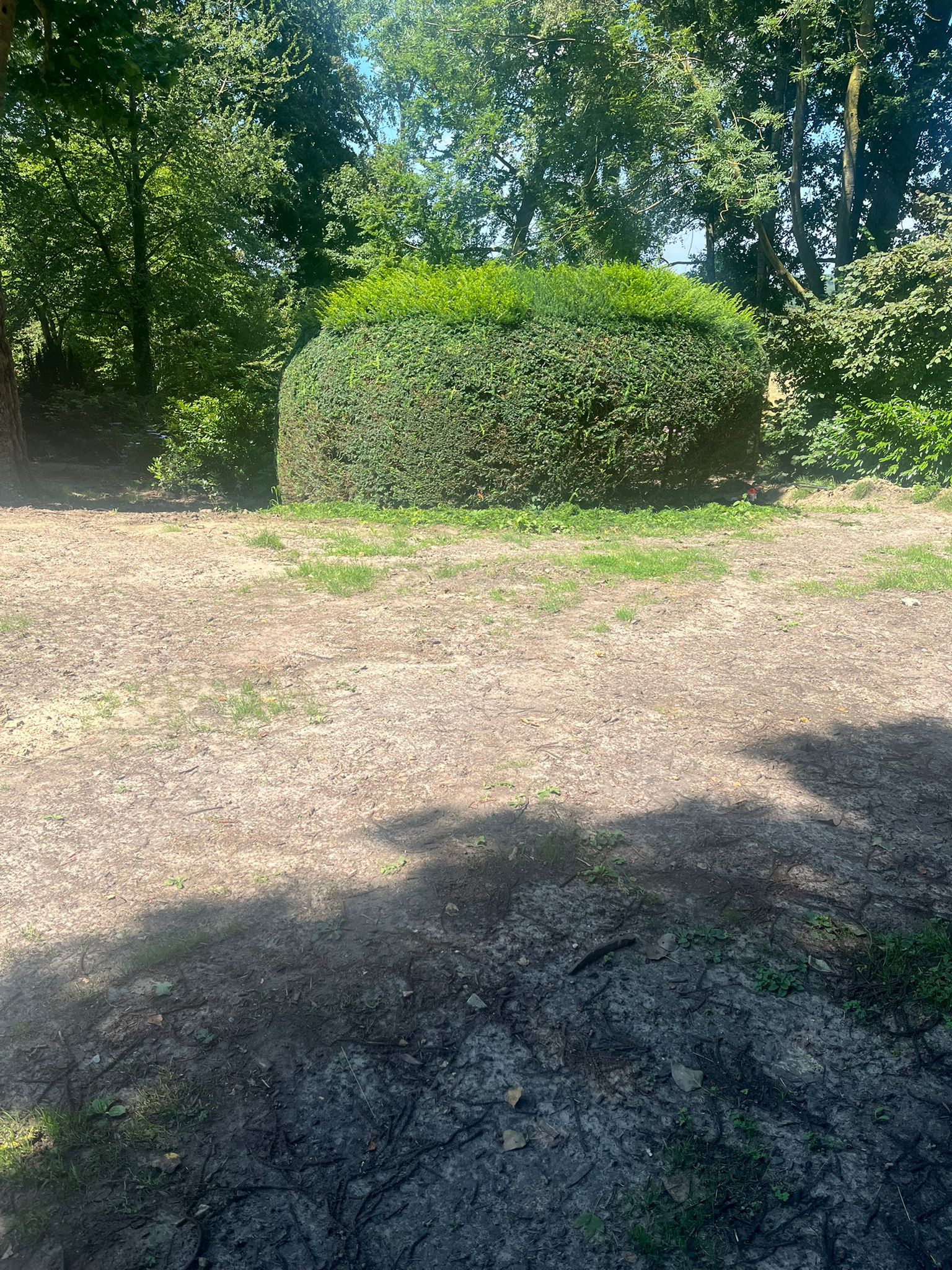Project Tuinen Thijs 5