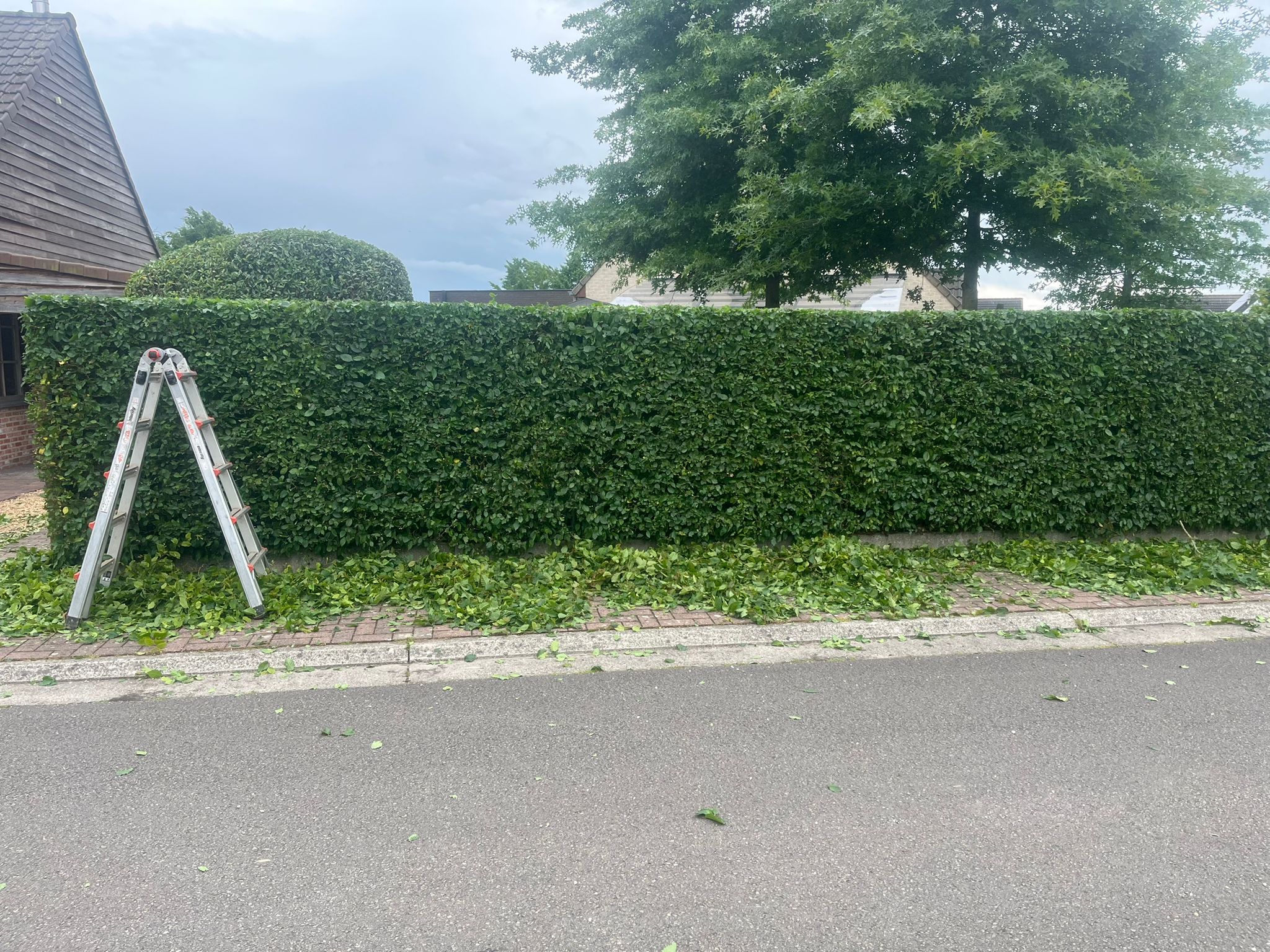 Project Tuinen Thijs 6
